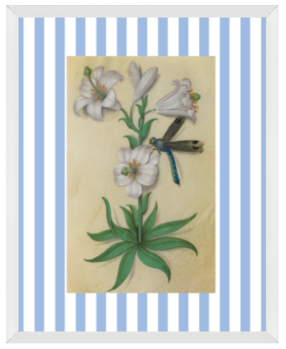 Blue & White Botanical Study, Giclee Print : STUDY 10