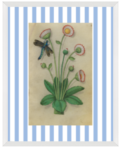 Blue & White Botanical Study, Giclee Print : STUDY 11