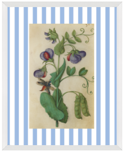 Blue & White Botanical Study, Giclee Print : STUDY 12