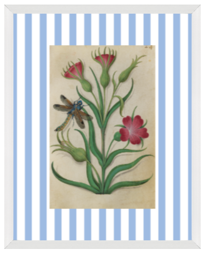 Blue & White Botanical Study, Giclee Print : STUDY 1