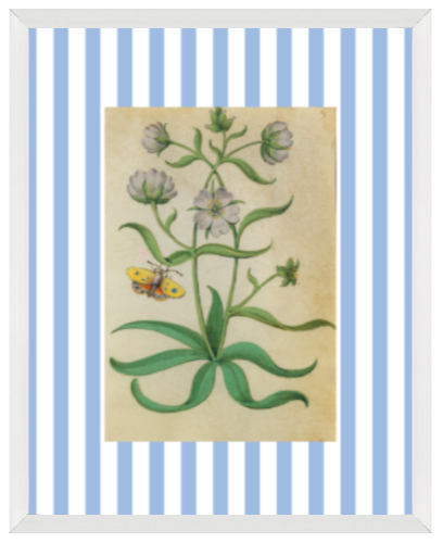 Blue & White Botanical Study, Giclee Print : STUDY 8