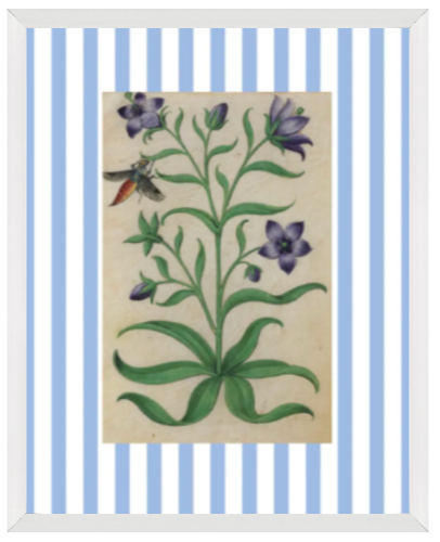 Blue & White Botanical Study, Giclee Print : STUDY 7